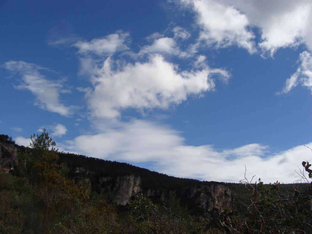 DSC05268.JPG