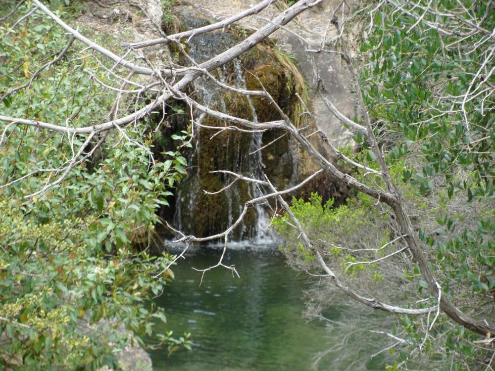DSC05276.JPG