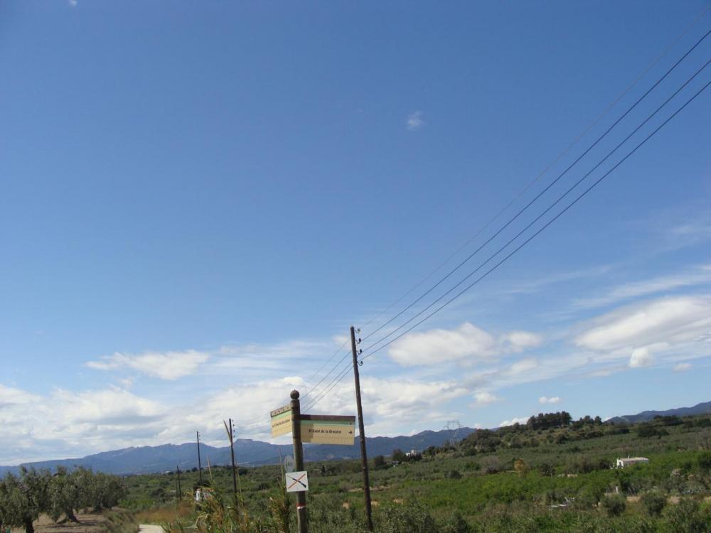 DSC05283.JPG