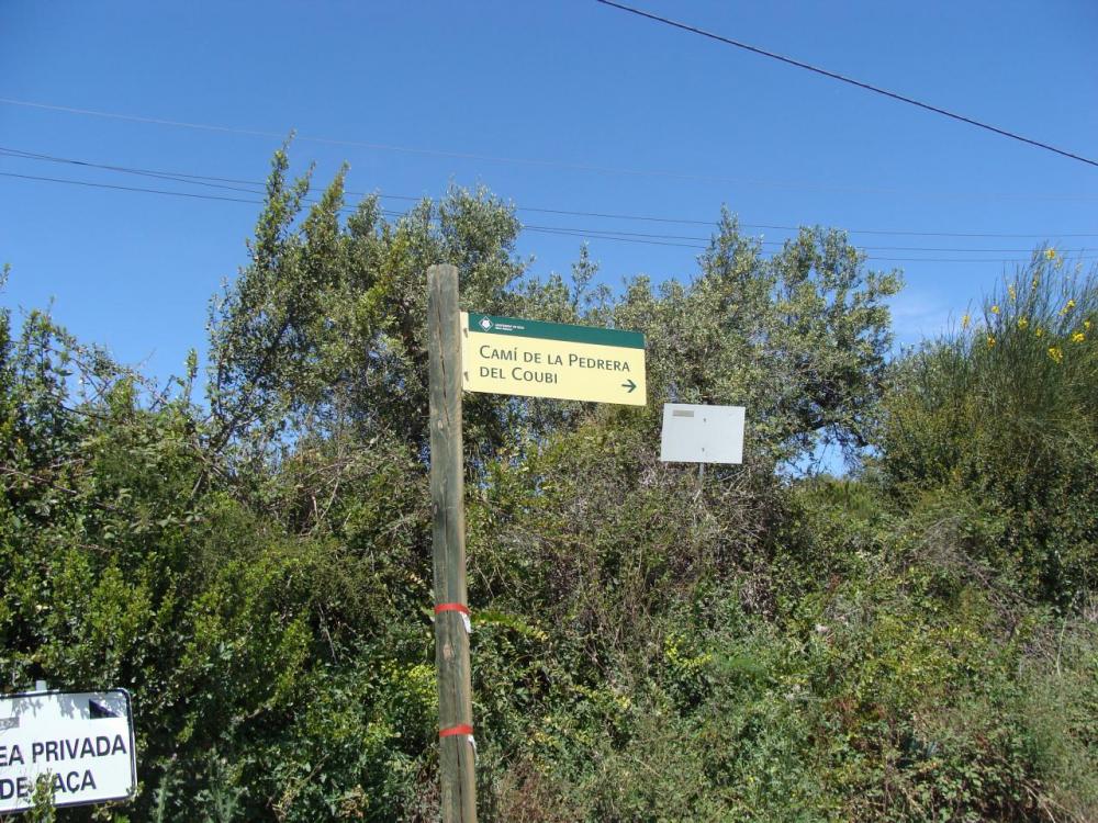 DSC05284.JPG