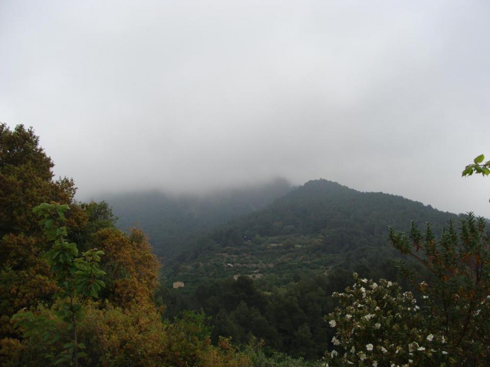DSC05494.JPG