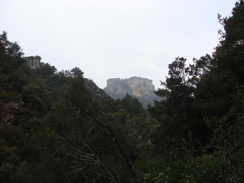 DSC05508.JPG