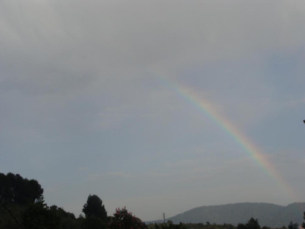 DSC05515.JPG
