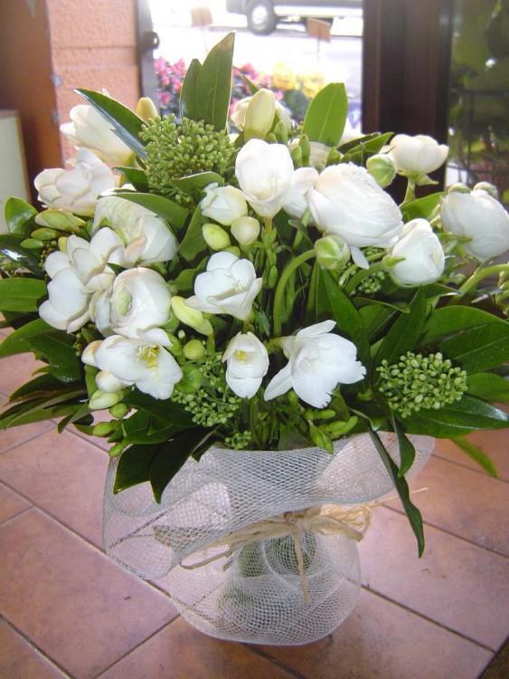 RAMO-EN-BLANCO-1327674186.JPG
