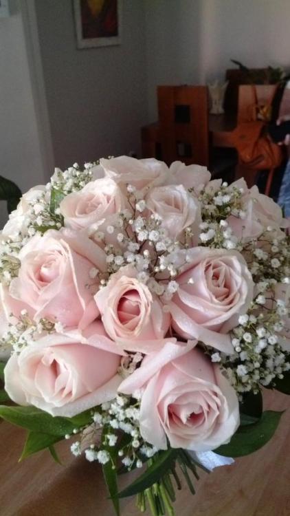 IMG_20160722_105735.jpg