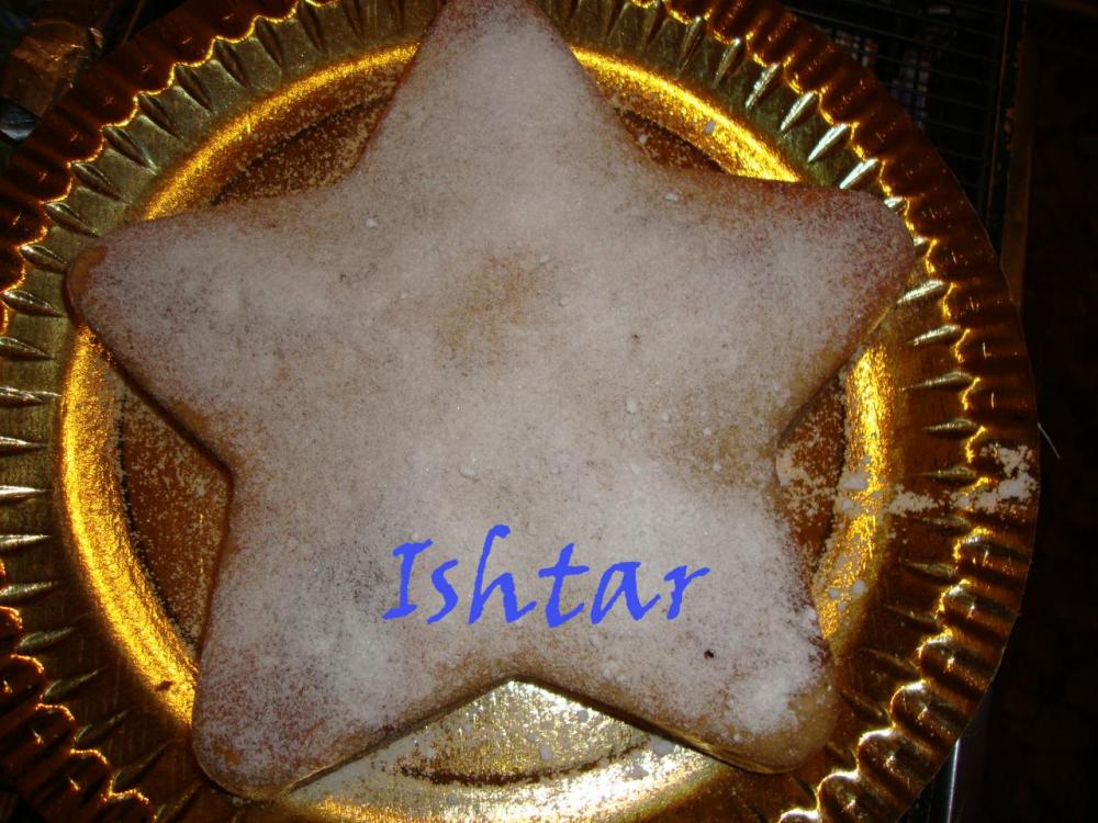 Estrella de Navidad.01..jpg