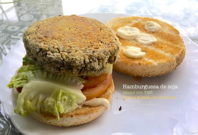 58a990cec7c86_Hamburguesadesoja_Fotor2.jpg.57144fd858c2a52d9ee529a05dfefd37.jpg.172b9fdf79f6621b9f920c59fa6f08fc.jpg