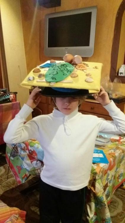 WhatsApp Image 2017-02-23 at 20.15.47.jpeg