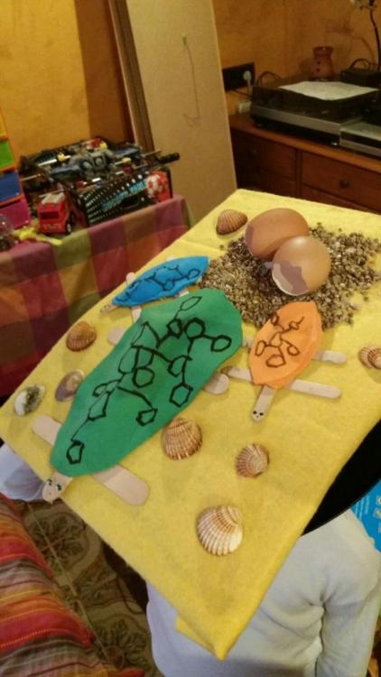 WhatsApp Image 2017-02-23 at 20.15.56.jpeg