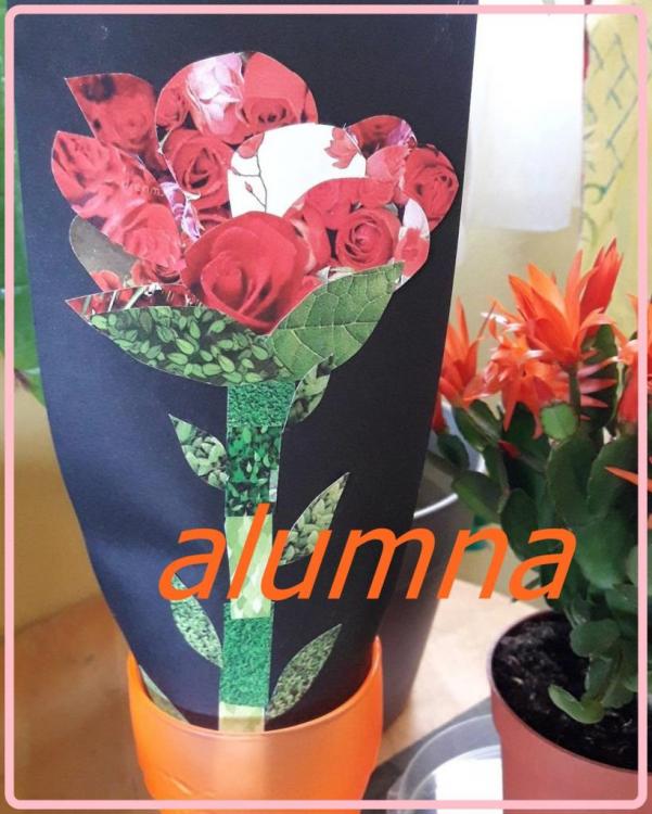 rosa de papel llena de amor.html.jpg