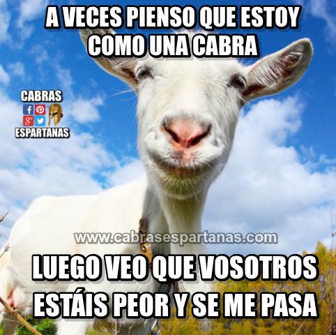 Estar-como-una-cabra-tampoco-es-tan-malo.jpg.34edff60026014dde212802a77ccf592.jpg