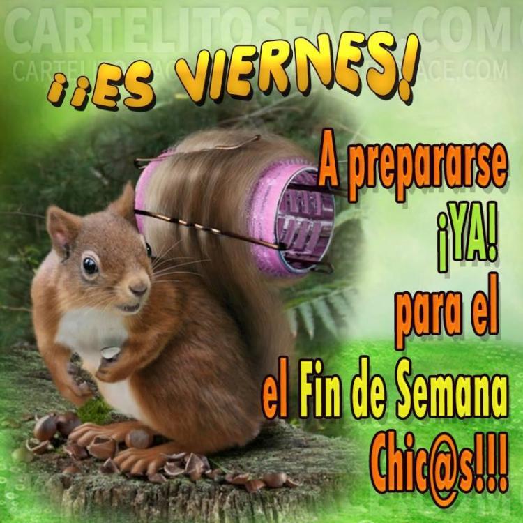 feliz viernes.jpg