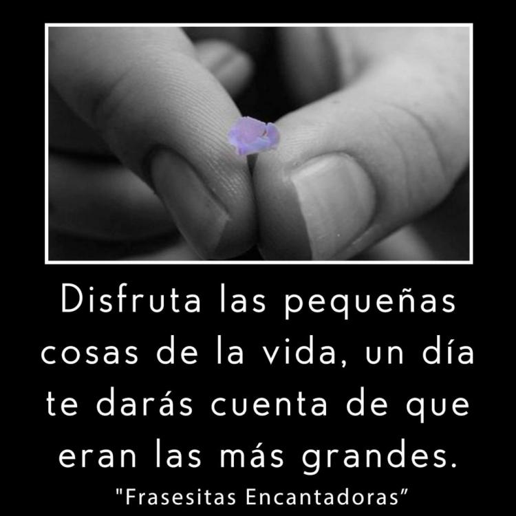 5989775099625_Disfrutalaspequeascosas..thumb.jpg.2caba6f99dc162bde733e2628aab3f04.jpg