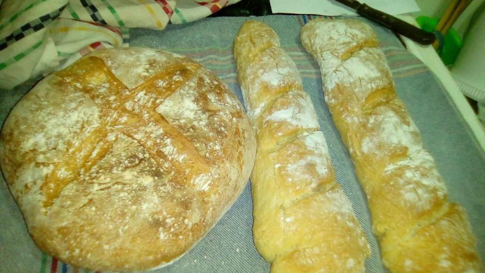 WhatsApp Image 2017-09-09 at 00.17.06 (1).jpeg