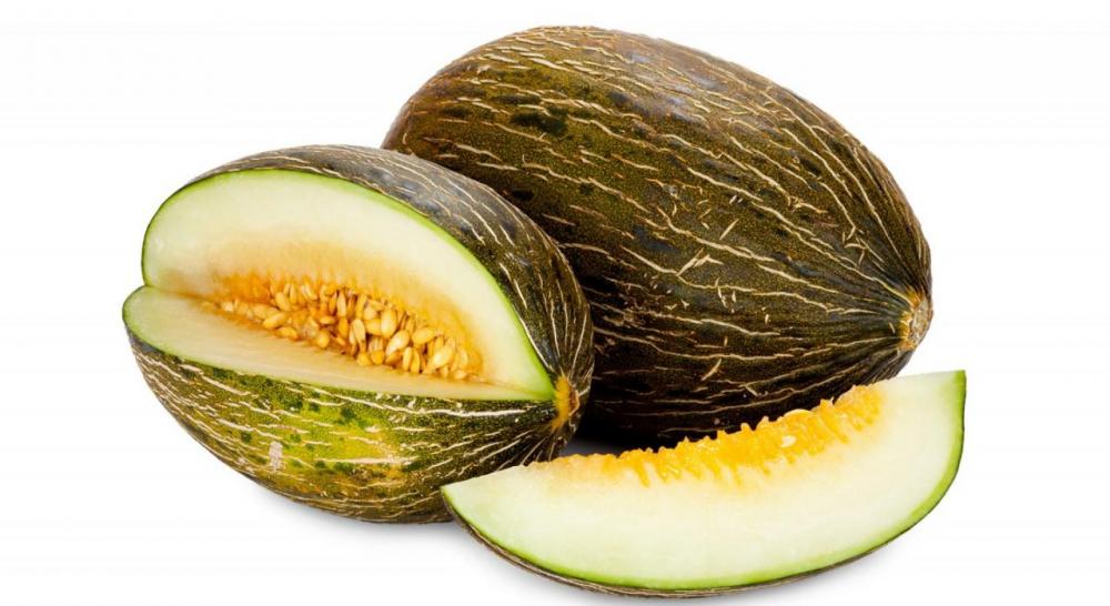melon-1440x785.thumb.jpg.90eb0362f7b8d7f019c8721c9b04c104.jpg