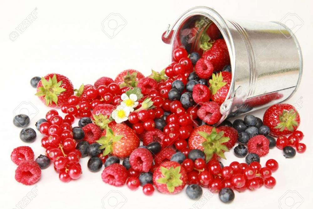 10628068-Fresas-grosellas-rojas-frambuesas-y-ar-ndanos-en-blanco-cayendo-de-un-cubo-Foto-de-archivo.thumb.jpg.f6d92d9d13a71114e529585ac45959f5.jpg
