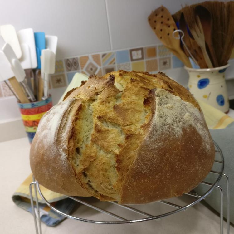 2017-11-13 09.55.49.jpg