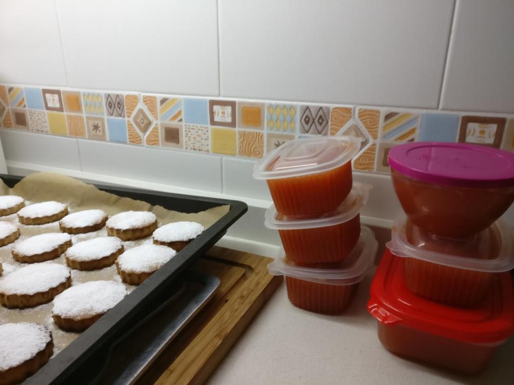 2017-11-16 11.56.19.jpg