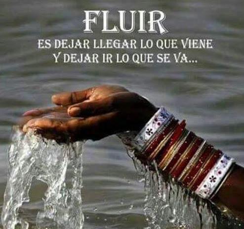 Fluir..jpg.a5a216205484a62842762dcc3eaf8c23.jpg