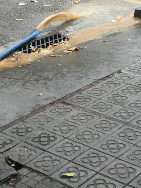 WhatsApp Image 2017-12-01 at 15.37.31.jpeg