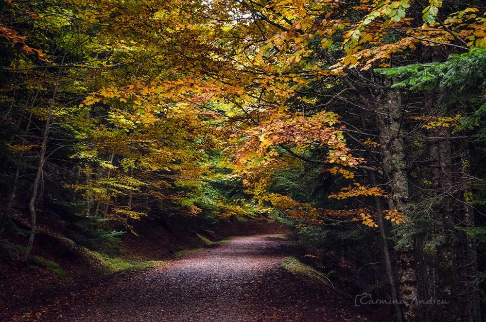 _DSC4932-Recuperado peq..jpg