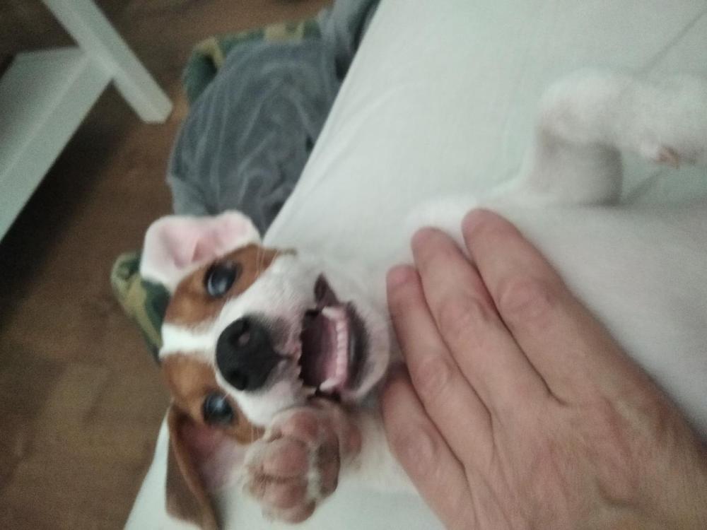 IMG_20220816_173640 (1).jpg