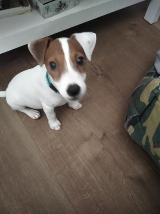 IMG_20220816_173746 (1).jpg