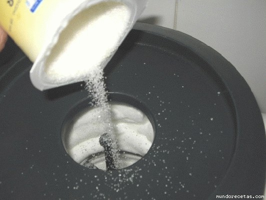 normal_bizcochoyogur_006%7E0.jpg