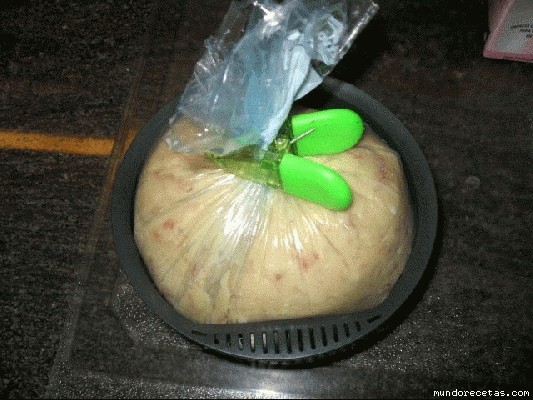 normal_IMG_1874.JPG