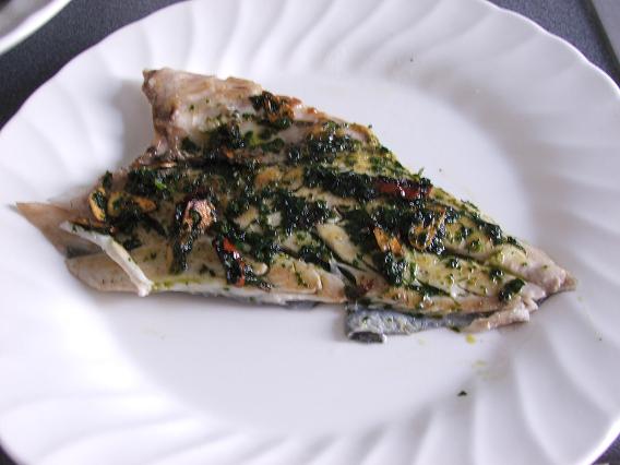 dorada2.JPG