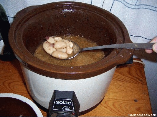 normal_100_3863C.JPG
