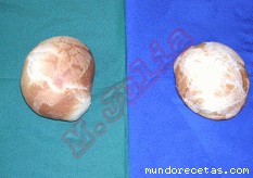 Receta de Panecillos de patatas (Thermomix-21) Receta de Panecillos de patatas (Thermomix-21)