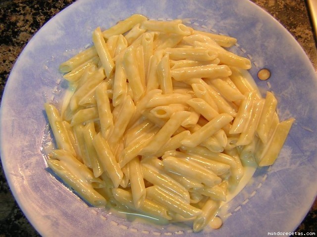 Receta de Macarrones con salsa de queso Receta de Macarrones con salsa de queso