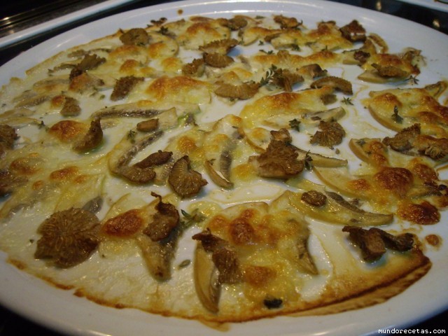 Receta de SETAS GRATINADAS CON MOZARELLA Y TOMILLO Receta de SETAS GRATINADAS CON MOZARELLA Y TOMILLO