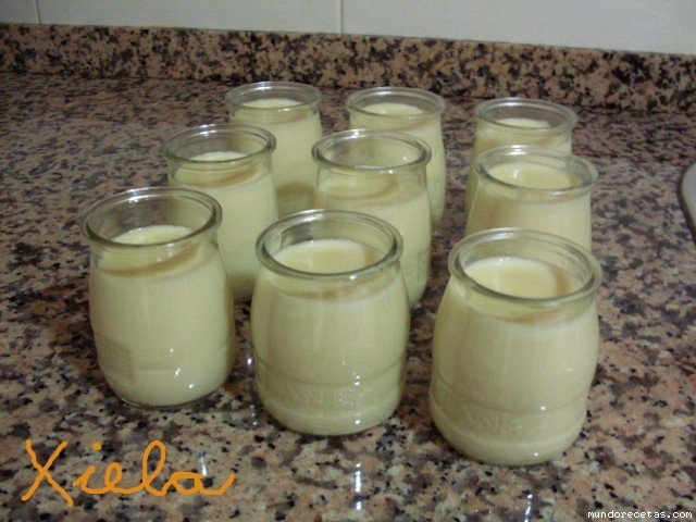 Receta de Yogures de coco (thermomix)