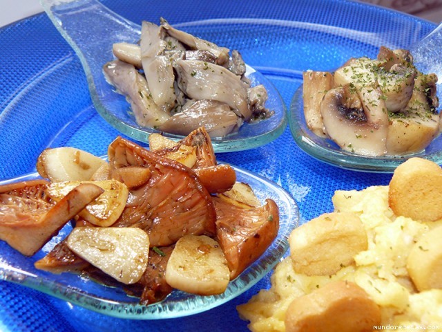 Receta de Setas variadas (cucharitas de setas variadas) Receta de Setas variadas (cucharitas de setas variadas)