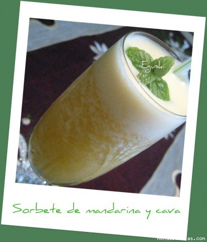 Receta de Sorbete de mandarina y cava (Thermomix ) Receta de Sorbete de mandarina y cava (Thermomix )