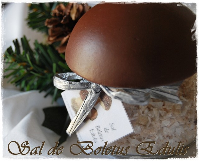 Receta de Sal de Boletus Edulis (Tradicional y TMX) Receta de Sal de Boletus Edulis (Tradicional y TMX)