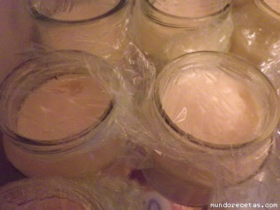 Receta de Yogur casero en horno