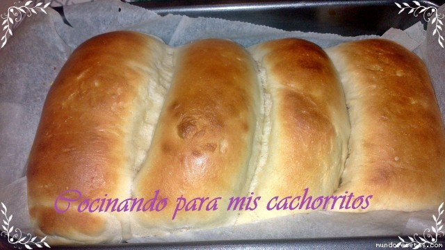 Receta de Pan de molde (nicca) Receta de Pan de molde (nicca)