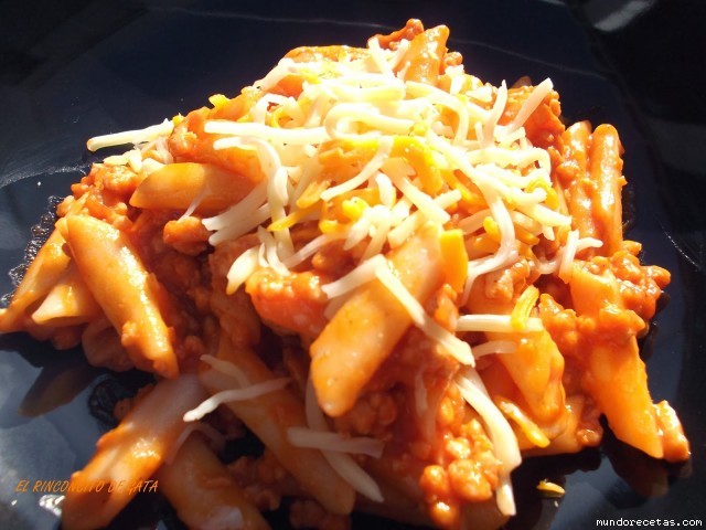 Receta de Macarrones con Pavo Receta de Macarrones con Pavo